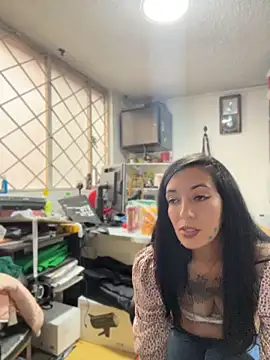 SALOME_KORLAND webcam