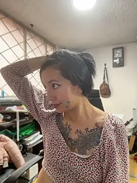 SALOME_KORLAND webcam