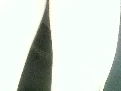 Christian_Stiven1 webcam