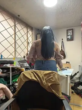 SALOME_KORLAND webcam