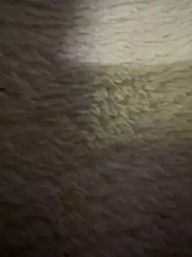 anonimgirl18old webcam