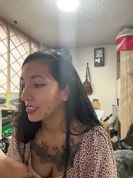 SALOME_KORLAND webcam