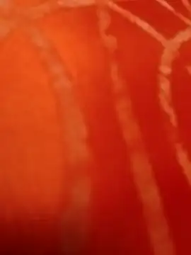 Master_chef808 webcam