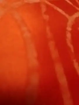 Master_chef808 webcam