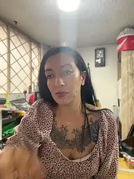 SALOME_KORLAND webcam