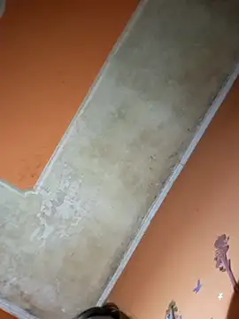 ducicsajsziii webcam