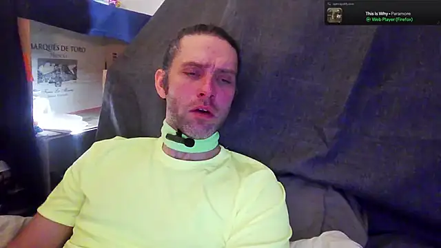 barebearstudio webcam