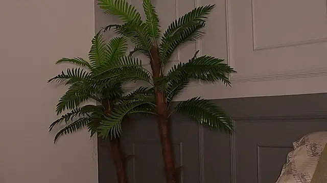 Amara_Velvet_ webcam