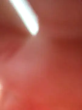 gatitachula93 webcam