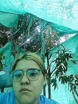 single_kitten webcam