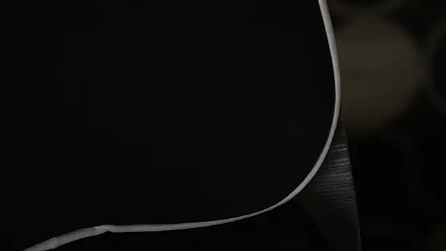 -AyeshaSinghania- webcam