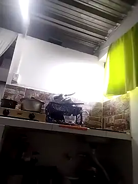 vegonicarouge webcam