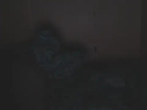 MissNaughty99 webcam