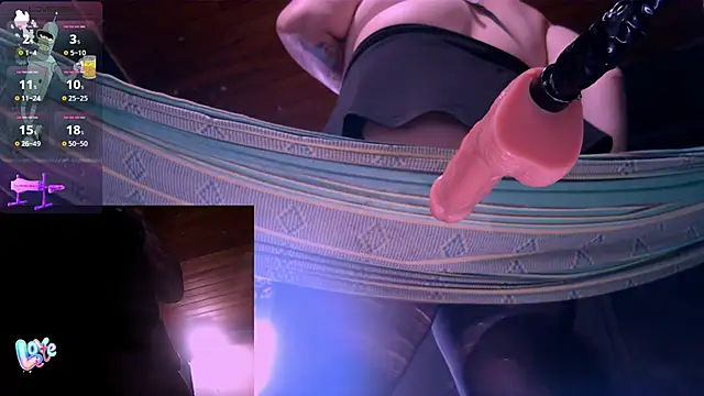 Nicolle_waterfalls webcam