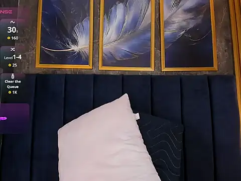 Lancelot_Benwick webcam