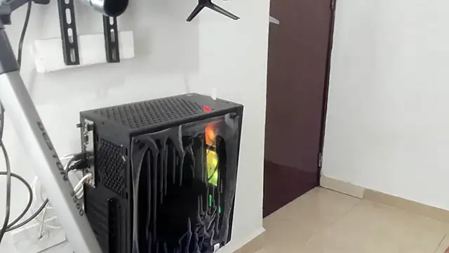 Grace_and_Milo webcam