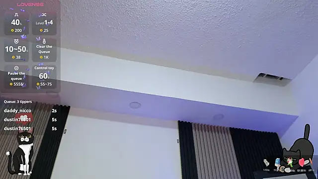 kittyhouse_hs webcam