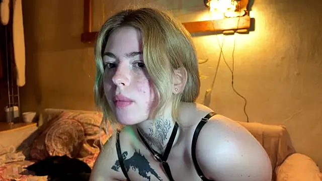 TRAMADOLL2008 webcam