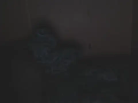 MissNaughty99 webcam