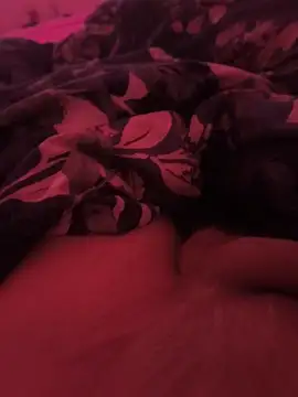 AttractiveSilk5 webcam