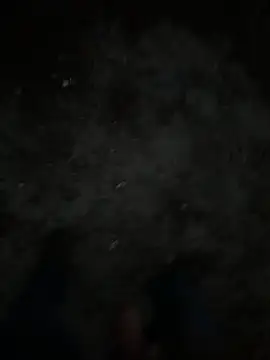 HungRowdyCowboy's live cam