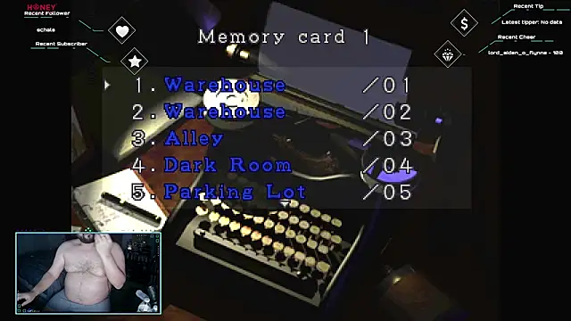 bottombeargaming webcam