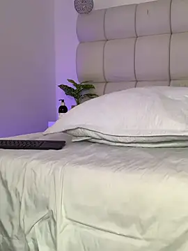 Alexa_Handler webcam