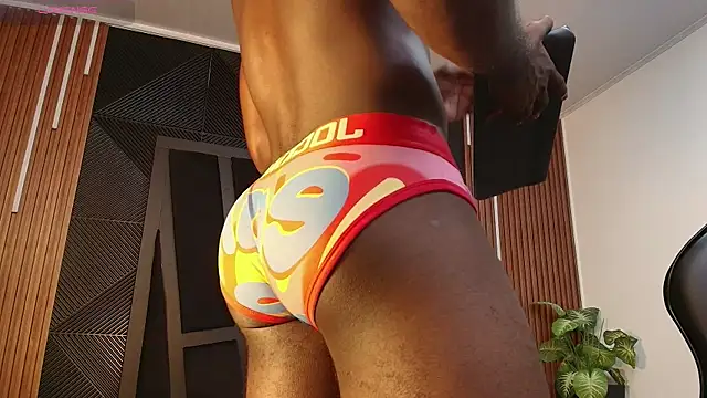 Oliver_Laurent_ webcam