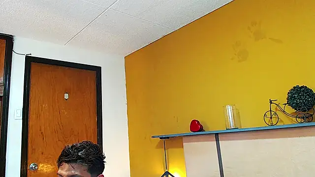 arnold_taylor webcam