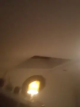 InferredPloce webcam