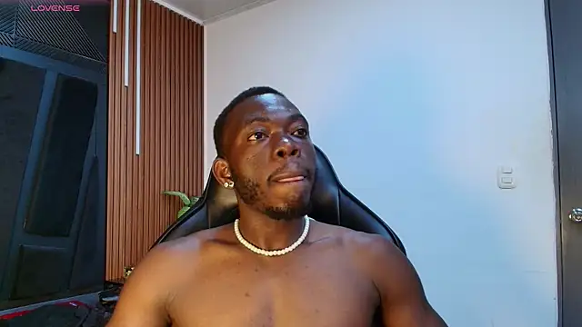 Oliver_Laurent_ webcam