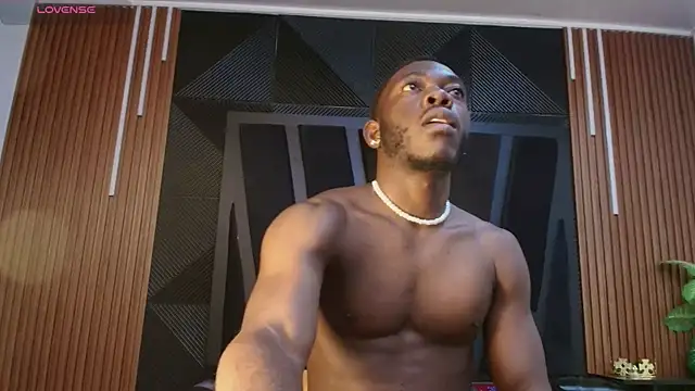 Oliver_Laurent_ webcam