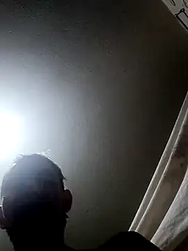 destroassbig2 webcam