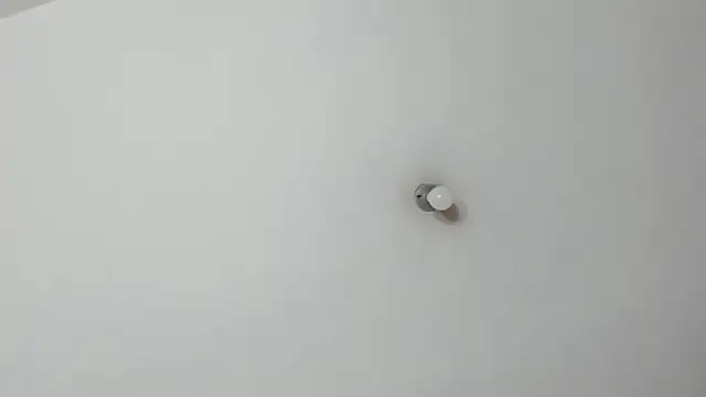 Rosse__Carter1 webcam