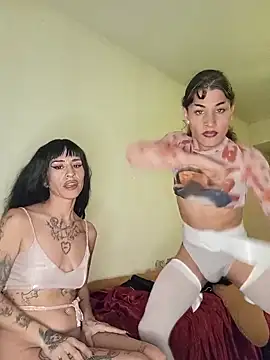 LaCristinatrans webcam