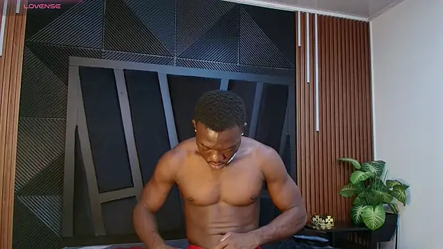 Oliver_Laurent_ webcam