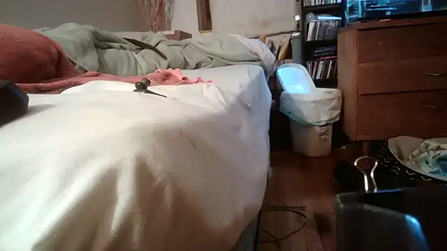 jumpingtomflash webcam