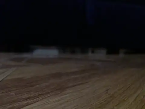 alphaswitchard webcam