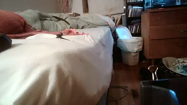 jumpingtomflash webcam