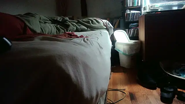 jumpingtomflash webcam