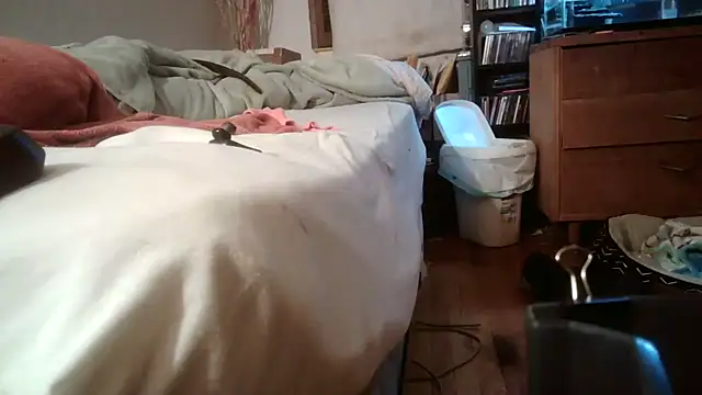 jumpingtomflash webcam