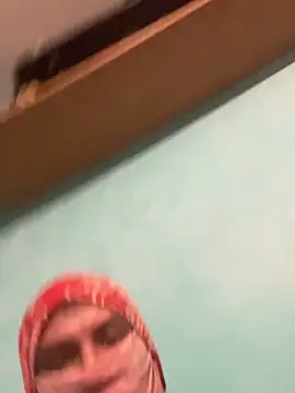 Preview of latin_stallion