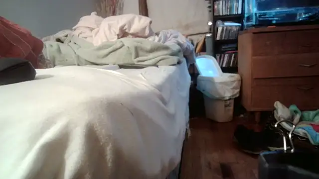 jumpingtomflash webcam