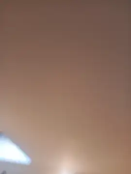 InferredPloce webcam