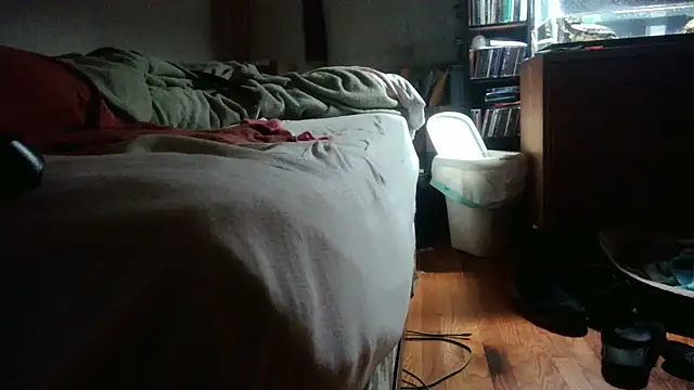 jumpingtomflash webcam