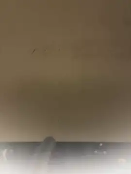 Webcam Model (SLNatasha)  is live.Free join now!