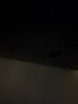 seeunexttuesday webcam