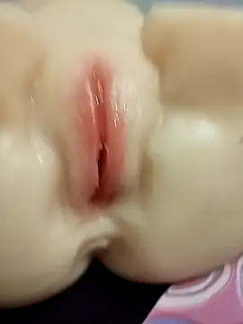 pauzudojagjshe webcam