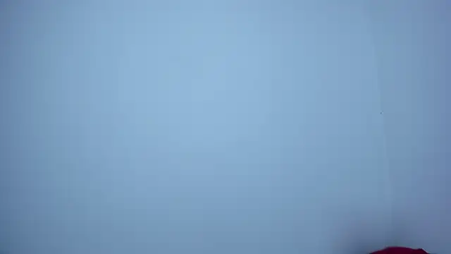 cirosky_elchicopolla webcam