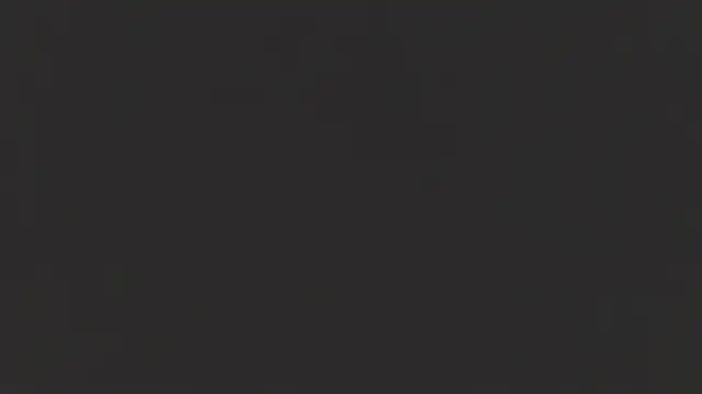 Benny_and_Mark webcam